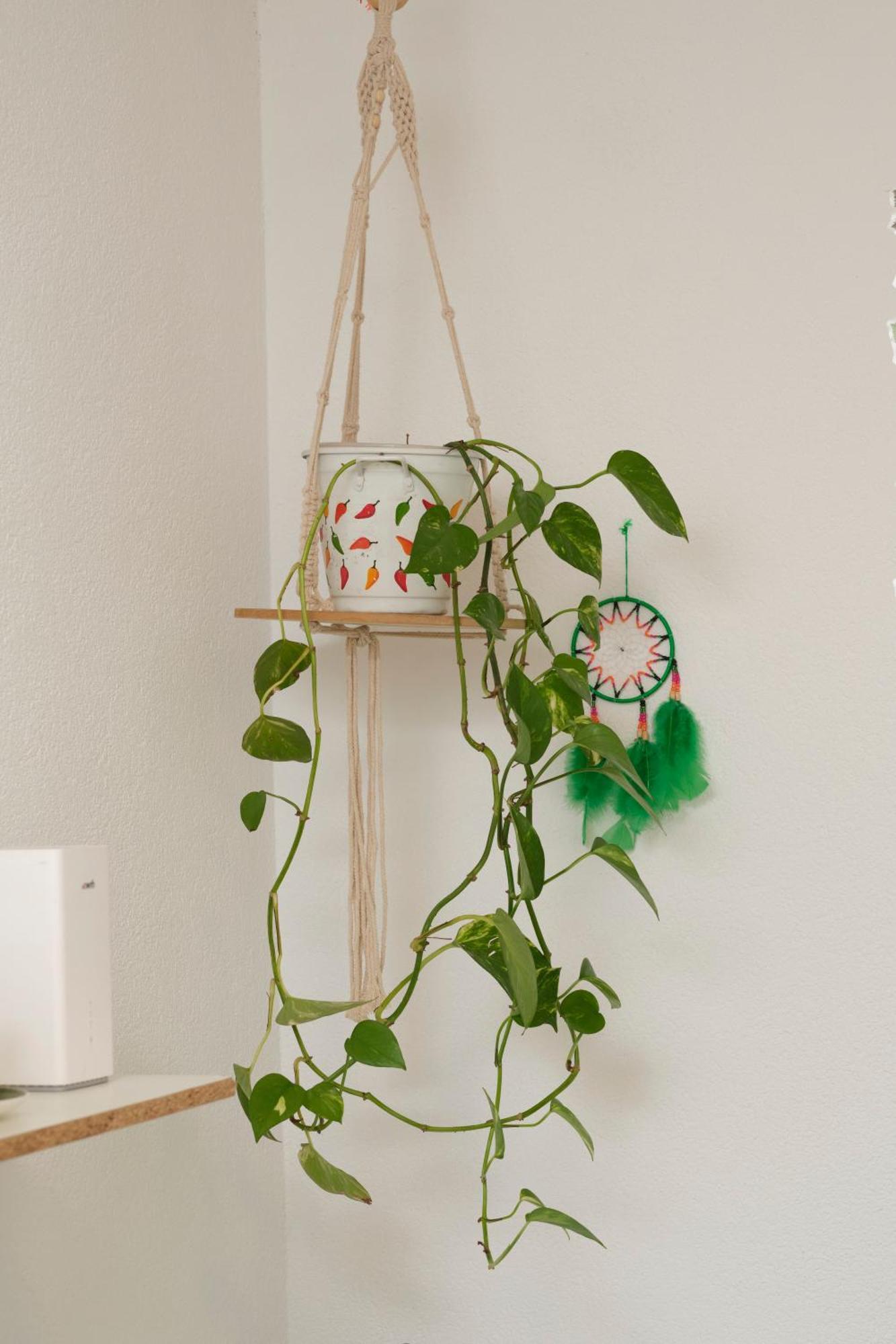 Séjour chez l'habitant Doppelzimmer Bei & Events